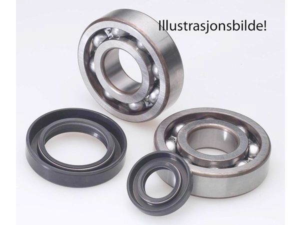 VEIVLAGER MED TETNING bilde 2