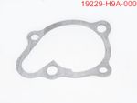 WATER PUMP GASKET