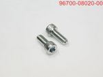 SOCKET BOLT 8X20
