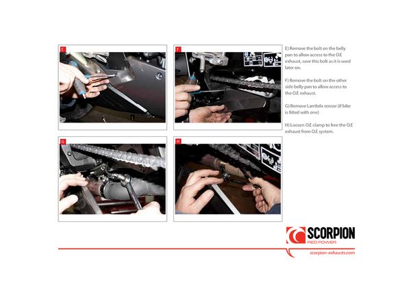Scorpion RP-1 GP. Carbon .Slip-On. bilde 5