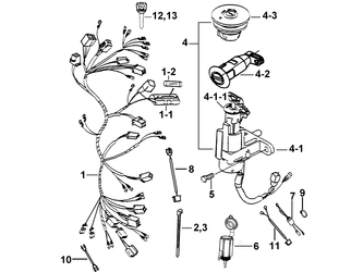 WIRING HARNESS AND LOCK SET